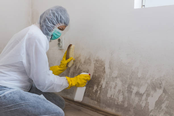 Mold Remediation for Vacation Homes in Pearl River, MS